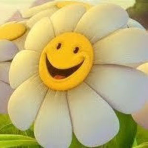 Meet your Posher, Donnalynn